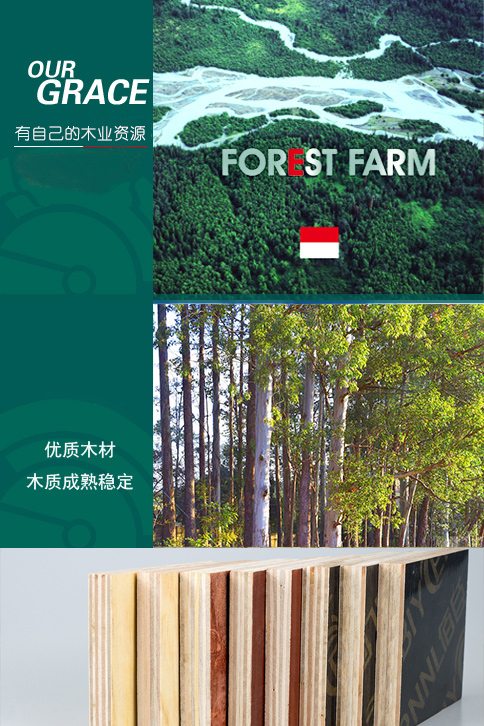 廣西建筑模板_建筑模板廠家_柳州建筑模板_柳州建筑模板廠家_柳州市鑫晶木業有限公司